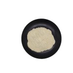 Factory Direct Supply High Quality Food Grade Nattokinase Extract Powder Nattokinase Extract 20000fu Nattokinase Powder