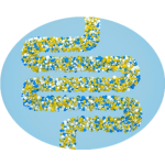 High Activity Probiotics Powder Food Grade 100Billion Bacillus Coagulans