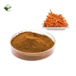 EU Certificated Organic Cordyceps Extract  Organic 10% Polysaccharide