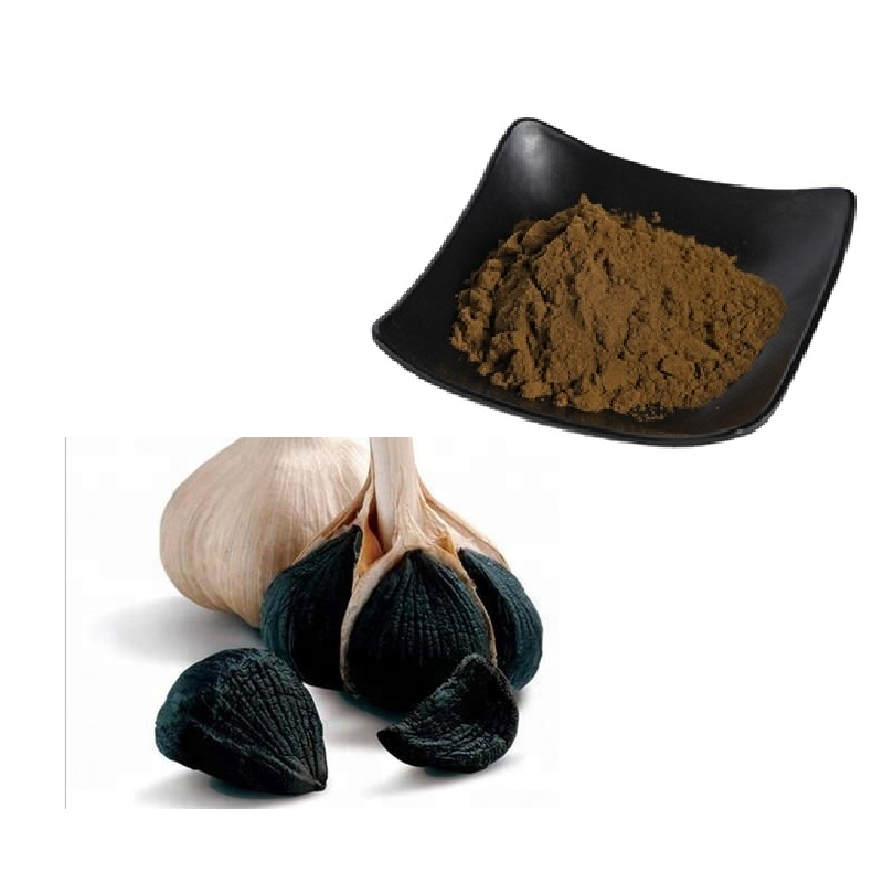 Iso Manufacturer Organic Black Garlic Extract/pure Black Garlic Powder/ Black Garlic P.e.