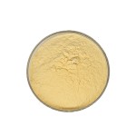 China  High Quality Alpha-lipoic Acid Alpha Lipoic Acid Powder