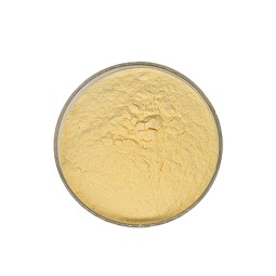 China  High Quality Alpha-lipoic Acid Alpha Lipoic Acid Powder