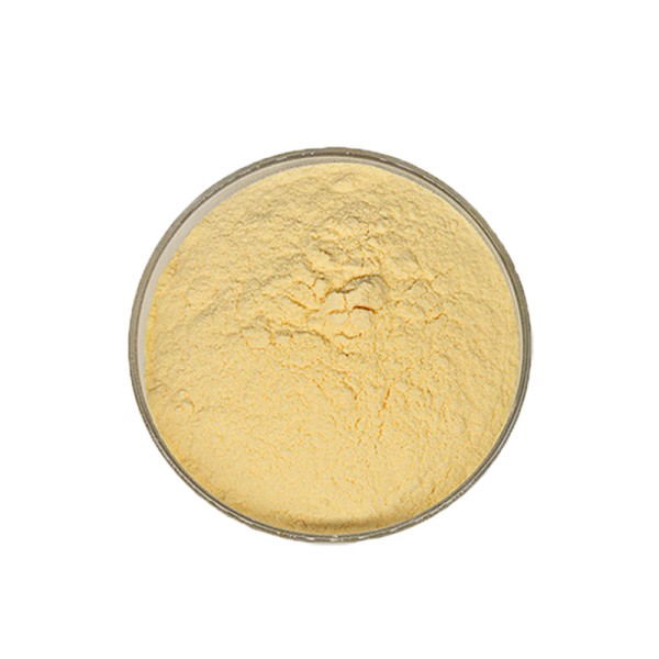 China  High Quality Alpha-lipoic Acid Alpha Lipoic Acid Powder