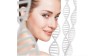 Shaanxi Honghao Bio-Tech Co., Ltd.