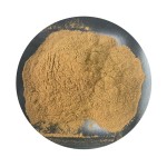 60% Hydroxycitric Acid Garcinia Cambogia Extract 60% HCA