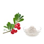 Factory Supply Good Quality Bulk Bearberry Leaf Extract Arbutin Powder Bearberry Leaf Extract Powder