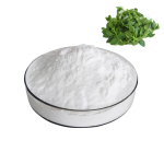 Andrographis Paniculata Extract Supplement Andrographis Paniculata Powder Andrographolide Powder 10% 98%
