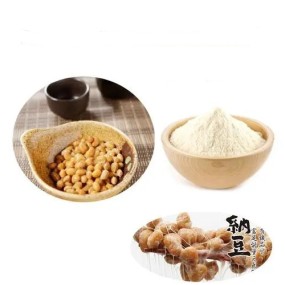 Organic Natural Natto Extract Nattokinase Powder