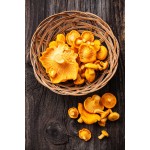 Chanterelle Mushroom Extract Mycelium Chanterelle Polysaccharide 30% Chanterelles Mushrooms Powder