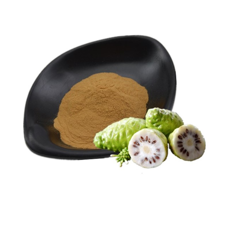 Noni Extract Powder Wholesale Natural Noni Fruit Powder Noni Powder Food Grade