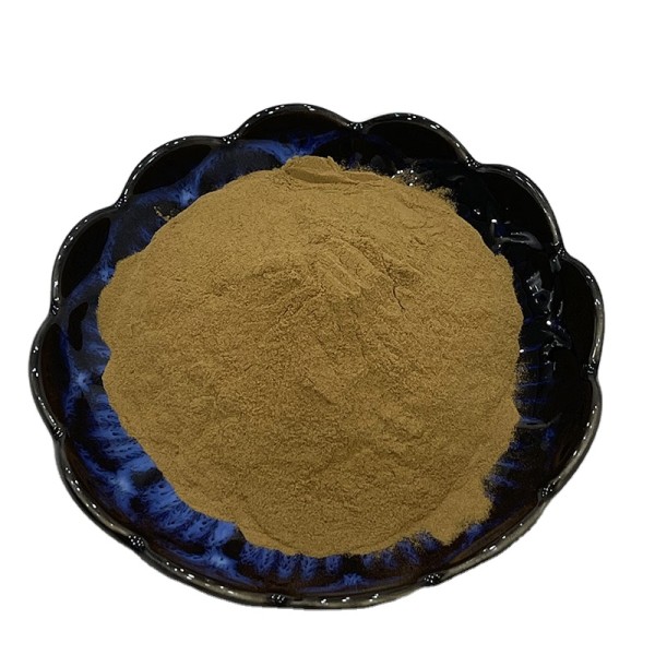 Factory Supply Wholesale  Soapnut Saponins Extract Soapberry Extract  Powder