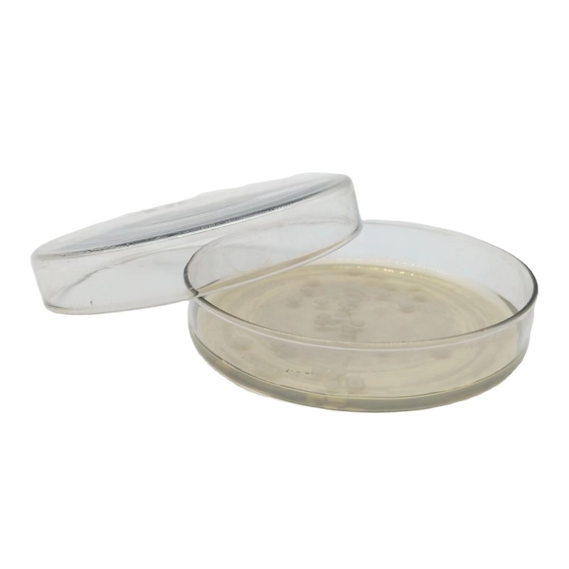 HONGHAO Supply Freeze-Dried Probiotics Lactococcus Lactis Lactis 10 Billion