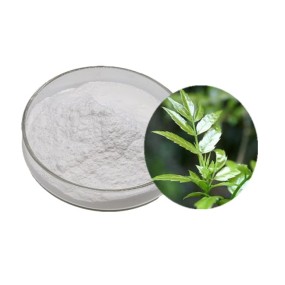 Dihydromyricetin Capsules Powder Wholesale 98% DHM Dihydromyricetin in Bulk