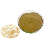 Flammulina Velutipes Mushroom China Fruiting Body Polysaccharides 10% Enoki Mushroom Powder Extract