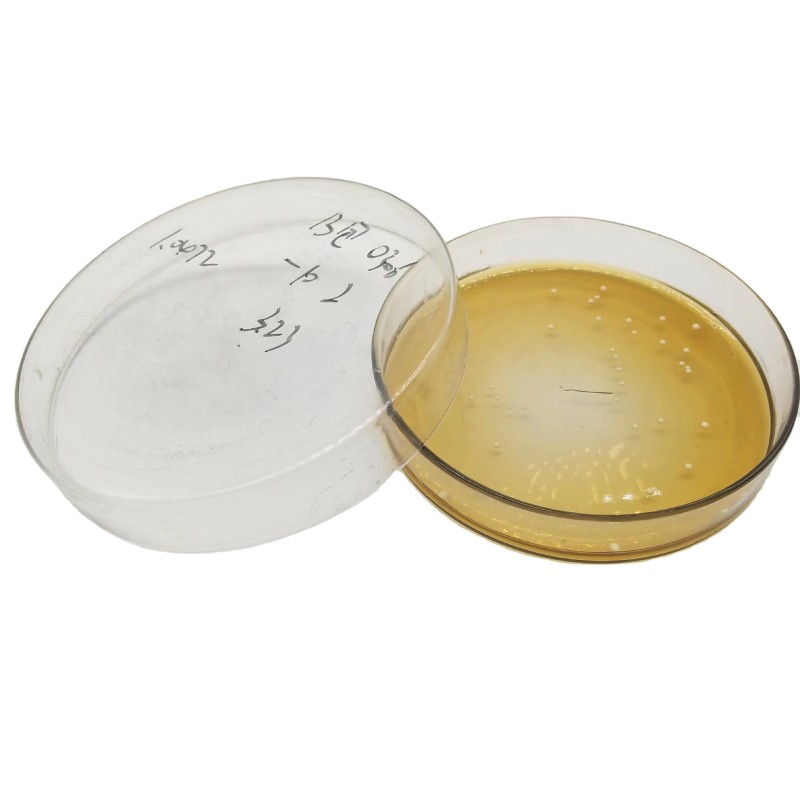 High Quality Lactobacillus Acidophilus Powder Feed Grade With Good Price