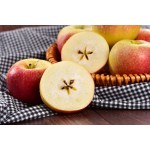 Natural Organic Apple Cider Vinegar Powder 10% Wholesale Apple Vinegar Powder Dry Apple Cider Vinegar Powder
