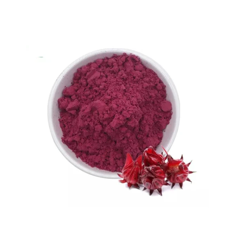 Factory Supply Wholesale Roselle Hibiscus Flower Powder Hibiscus Powder
