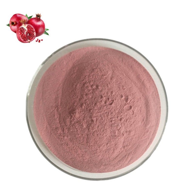 Factory Supply Wholesale Bulk Organic Certificated Pomegranate Juice Powder Organic Pomegranate Powder