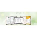 Peach Juice Powder Honey Peach Juice Powder Concentrate Fruit Extract Dried Honey Peach Powder