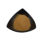 Bat Moth Penicillium Mycelium Powder Cordyceps Powder CS-4 Bulk Fermented Cordyceps Mycelium Powder