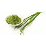 Factory Supply Wholesale Organic Certificated Barley Grass Powder Organic Barley Grass Powder for Weight Loss