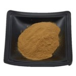 Maitake Mushroom Powder Fruiting Body Pure Natural Organic Maitake Powder