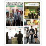 Chinese Linoleic Acid Oil Conjugated Linoleic Acid Powder