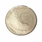 Natural Natto Extract 20000fu/g Nattokinase Powder
