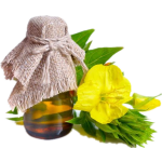Natural Evening Primrose Capsules Seed Oil Liquid Good Quality Evening Primrose Oil Supplement