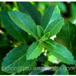 Wholesale Factory Supply Bulk Organic Stevia Extract Powder Stevia Extract Powder