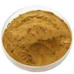Factory Supply Good Quality Bulk Nettle Extract Powder Silicone