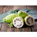Noni Extract Powder Wholesale Natural Noni Fruit Powder Noni Powder Food Grade