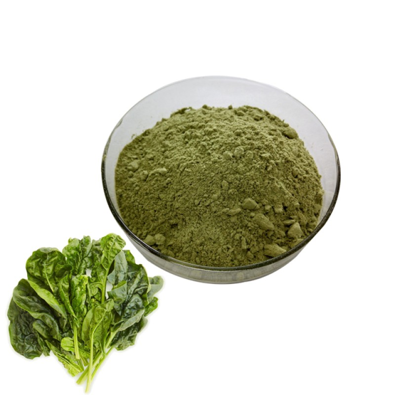Factory Supply Wholesale Spinach Juice Powder Spinach Powder