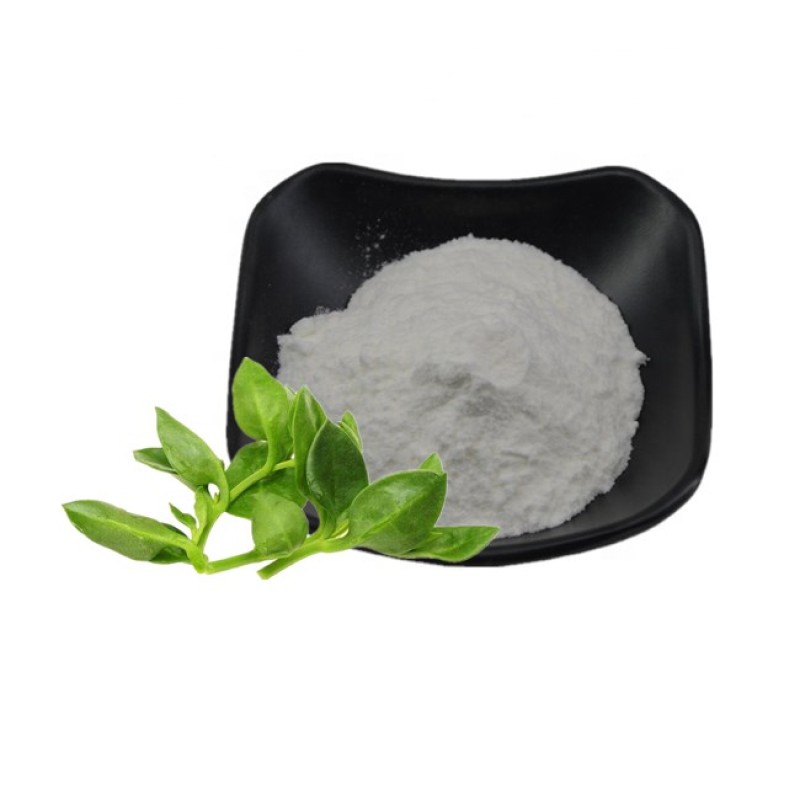 Andrographis Paniculata Extract Supplement Andrographis Paniculata Powder Andrographolide Powder 10% 98%