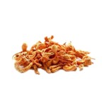 EU Certificated Organic Cordyceps Extract  Organic 10% Polysaccharide
