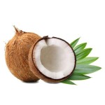 Bulk Coconut Milk Powder 100% Coconut Powder