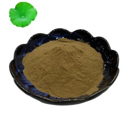 Manufacturer Supply Wholesale  Lotus Leaf Extract Lotus Leaf Extract Powder  Nelumbo Nucifera Extract Nuciferine 1%