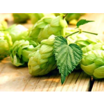 Humulus Lupulus Extract Flavones Wholesale Bulk Hops Extract Flavonoids Powder 4%