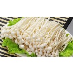 Flammulina Velutipes Mushroom China Fruiting Body Polysaccharides 10% Enoki Mushroom Powder Extract