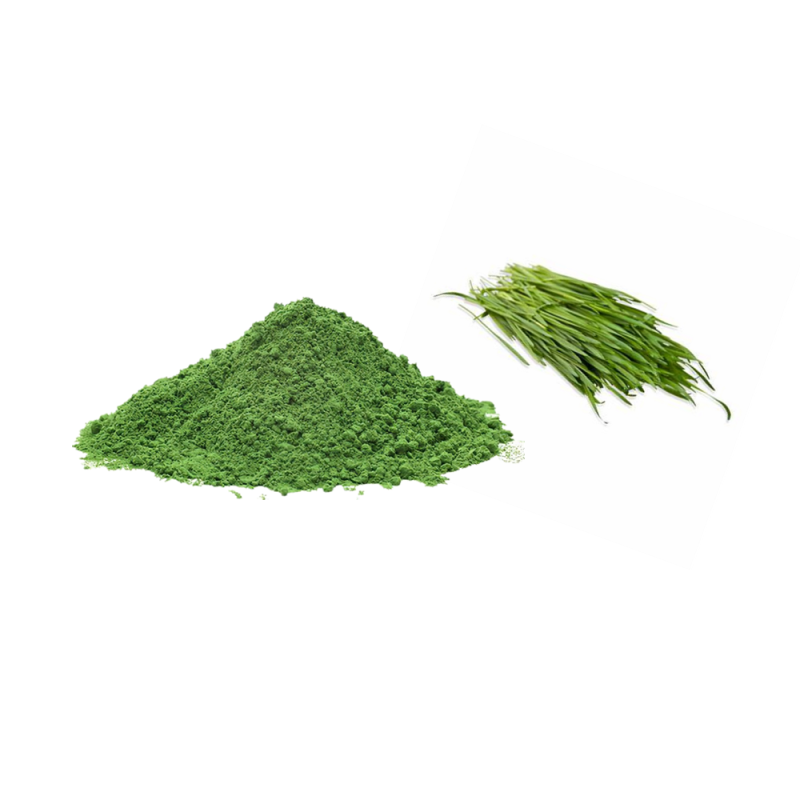 Factory Supply Wholesale Organic Certificated Wheatgrass Powder Organic Wheat Grass Juice Powder