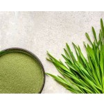 Factory Supply Wholesale Organic Certificated Barley Grass Powder Organic Barley Grass Powder for Weight Loss
