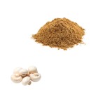 Wholesale Bulk Agaricus Bisporus Extract  Powder  Polysaccharides Agaricus Bisporus Powder