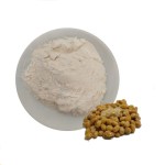 Nattiase Fermented Soybean Extract Organic Natto Extract Powder Nattokinase Enzymes Powder