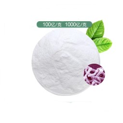 Halal Probiotics Food Supplement Lactobacillus 10 Billion 18  Strains Probiotic Blend Bulk Probiotic Powder