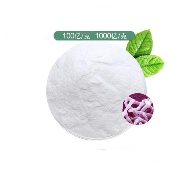 Halal Probiotics Food Supplement Lactobacillus 10 Billion 18  Strains Probiotic Blend Bulk Probiotic Powder
