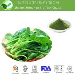Factory Supply Wholesale Spinach Juice Powder Spinach Powder