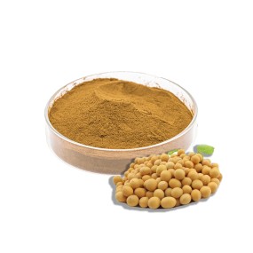 Bulk Soybean Germ Extract Soy Isoflavones Powder