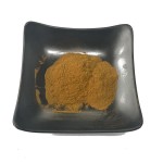 Water Soluble Reishi Extract 10-50% Polysaccharides