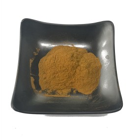 水溶性灵芝提取物10-50%多糖