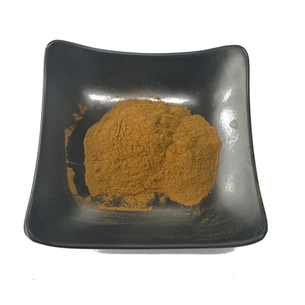 Water Soluble Reishi Extract 10-50% Polysaccharides